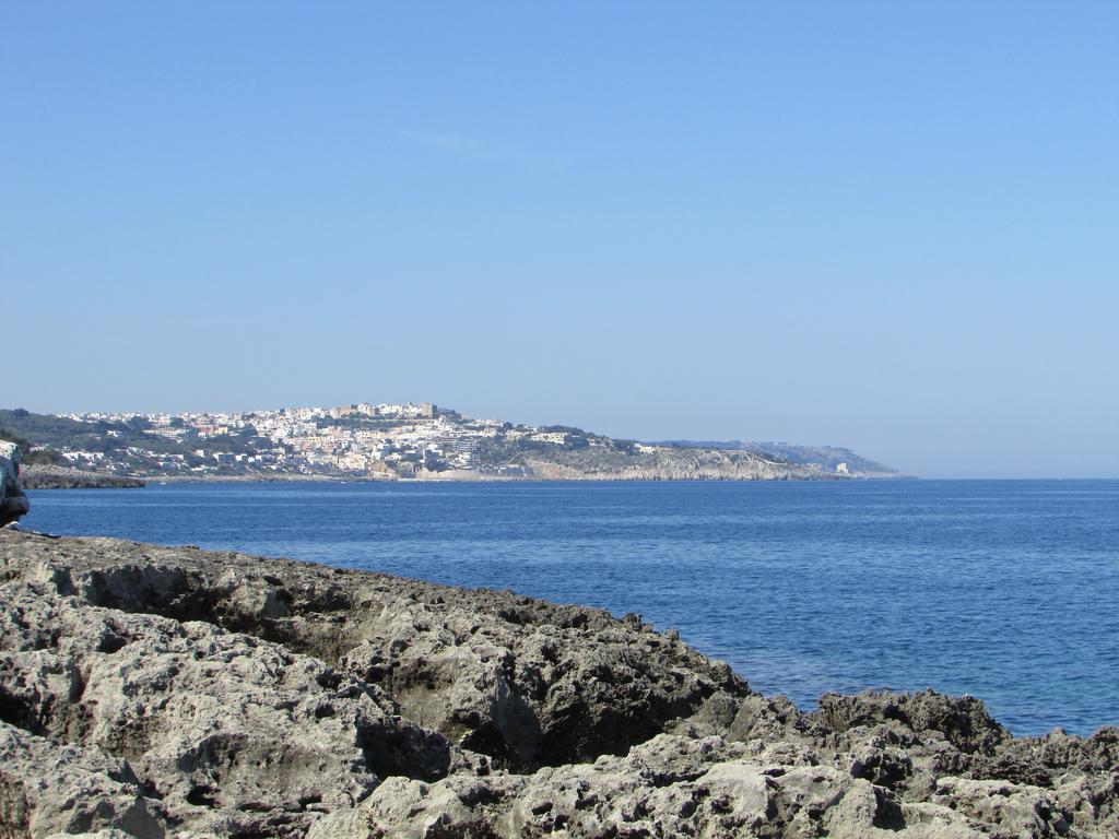 B&B Monelli Diso Εξωτερικό φωτογραφία